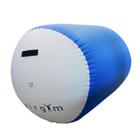 AG Industries Airgym(エアージム) スーパー・エアーバレル 6 01250 1個（直送品）