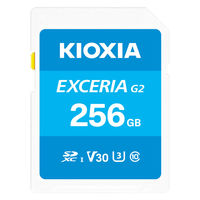 LINVA SDJ[h KSDU[B256G 1