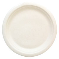 バガス プレート