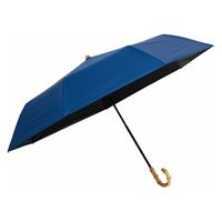 ピーターパン ジャンプ傘 60cm ピーターパン ジャンプ傘 60cm 楽天市場】ピーターパン傘の通販