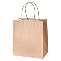 パックタケヤマ STカラーズ　ミルクティー XZT68333 1セット（1袋（10枚入）×4）