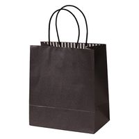 パックタケヤマ STカラーズ　アッシュブラック XZT68334 1セット（1袋（10枚入）×10）