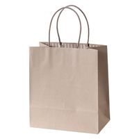 パックタケヤマ STカラーズ　グレージュ XZT68330 1セット（1袋（10枚入）×10）