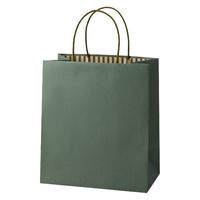 パックタケヤマ STカラーズ　オリーブ XZT68308 1セット（1袋（10枚入）×10）