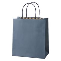 パックタケヤマ STカラーズ　ディープブルー XZT68306 1セット（1袋（10枚入）×10）