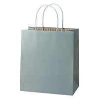 パックタケヤマ STカラーズ　アッシュブルー XZT68305 1セット（1袋（10枚入）×10）