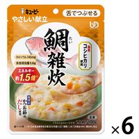 介護食 やわらか食 キユーピー やさしい献立 Y3-51 鯛雑炊 1セット（6袋入）