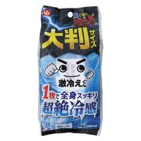 レック 激冷えくん ボディクールシート 鬼クールMAX 液量たっぷり大判 C01394 1個（15枚入×2パック）