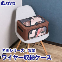 AXg ʊy C[[P[X 900-46 1Zbg(1×3)iij
