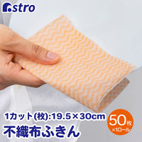 AXg sDzӂ ӂ IW 618-89 1Zbg(1{×3)iij