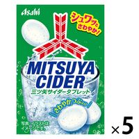 FRISK （フリスク） クリーンブレスボトル ストロングミント