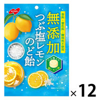 のど飴 キャンディー 個包装 無添加 つぶ塩レモン のど飴 90g 12袋 ノーベル