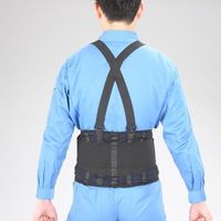 エスコ L/101ー111cm バックサポート EA926BD-13 1枚（直送品）