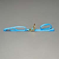 エスコ 25mmx 6.0m/ 250Kg ベルト荷締機(ラチェット式) EA982AB-5 1個（直送品）