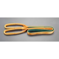 エスコ 25mmx2.5m/0.8ton ベルトスリング(ナイロン) EA981CA-2.5A 1本（直送品）