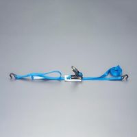 エスコ 25mmx 6.0m/ 254kg ベルト荷締機(両端フック型) EA982RG-6 1本（直送品）