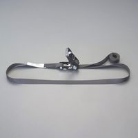 エスコ 25mmx 6.0m/ 509kg ベルト荷締機(エンドレス) EA982SJ-6 1個（直送品）