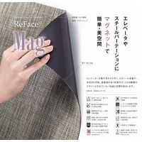 ReFaceMag MT^Cv J[:G02 :2 TCY:450 12 ReFaceMag-G02-2-450-12P 1iij