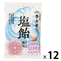 塩分補給 あめ キャンディー 塩飴 ほんのり梅味 80g 12袋 榮太樓  個包装