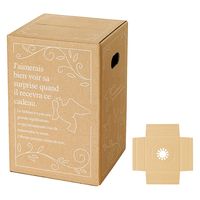 【80サイズ】ヘッズ デリバリーカートン-3 外寸：W200×D200×H300mm D-3 1セット（1袋（30枚入）×3）