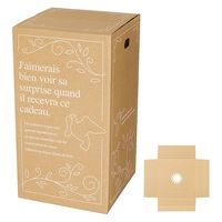 【120サイズ】ヘッズ デリバリーカートン-1 外寸：W300×D300×H550mm D-1 1セット（1袋（20枚入）×5）