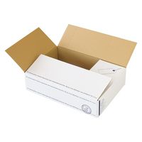 【100サイズ】ヘッズ スタンプ宅配BOX-1 外寸：W470×D330×H120mm STA-CT1 1セット（1袋（10枚入）×10）