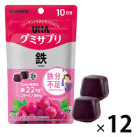 UHA味覚糖　UHAグミサプリ　鉄（10日分）　グレープ味　1セット（1袋（20粒入）×12）　サプリメント