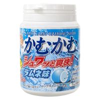 かむかむ ボトル ２４点セット かむかむ ボトル 24点セット