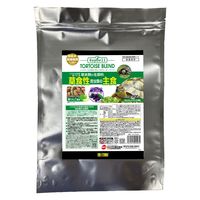 エキゾテラ RepDeli リクガメブレンドフード 900g 1個 ジェックス