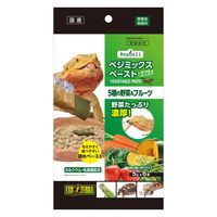 エキゾテラ RepDeli ベジミックスペースト バグプラス 国産（5g×6本）1個 ジェックス 爬虫類用 餌