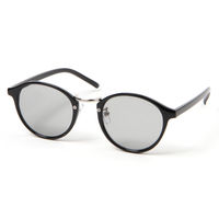 【LAKOLE/ラコレ】 ウェリントンコンビシルバーサングラス