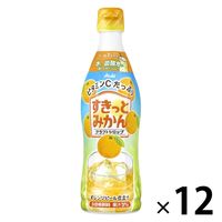 アサヒ飲料 クラフトシロップ すきっとみかん＜希釈用＞プラスチックボトル 470ml 1箱（12本入）