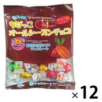 芥川製菓 コインスタイルチョコレート 74g【東京都豊島区 送料別