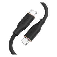 タイプCケーブル (USB-C to C) PD対応 60W USB2.0 3m 黒 U2C