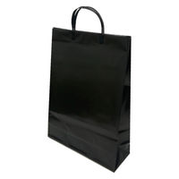 マツシロ 無地ビニールバッグL クロ 10枚セット 62BLB 1包（直送品）