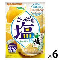 塩分商材 塩分補給 さっぱり塩飴 塩レモン味 6袋 UHA味覚糖