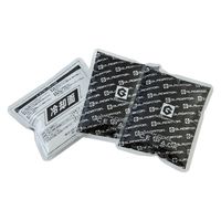 コーコス信岡 アイスパック アイスベスト用保冷剤 シルバー GIー404 1セット（3個入）
