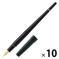 楽天市場】PILOT パイロット 万年筆 エリート ブラック 14K/細字