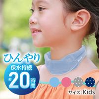 アイスノン首もとひんやり氷結ベルト 1個（2本入） 白元アース