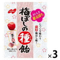 梅ぼしの種飴 30g 3袋 ノーベル キャンディ キャンディー