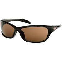 シャディ コールマン サングラス