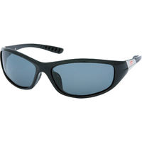 シャディ 【2箱セット】コールマン サングラス 24-8232-429 1セット(2箱)（直送品）