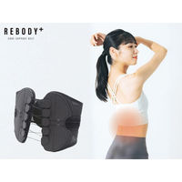 シャディ REBODY+(リボティプラス) 24-8322-037 1箱（直送品）