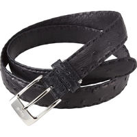 シャディ マレリー オーストリッチベルト 24-8386-397 1箱（直送品）