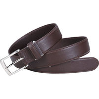 シャディ ポールスチュアート ベルト 24-8963-220 1箱（直送品）