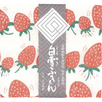 シャディ 【10袋セット】白雪友禅ふきん 25-0139-040 1セット(10袋)（直送品）