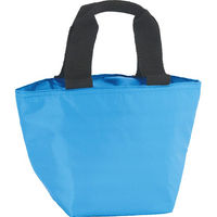 シャディ 【10袋セット】保冷温お出かけトート 25-0510-058 1セット(10袋)（直送品）