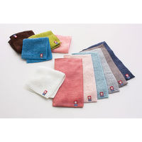 未使用　泉州産 やわらか重ね織り4重ガーゼ毛布　2枚セット　WA gauze 和ガーゼ 泉州産 やわらか重ね織り4重ガーゼ毛布 No.100 割引き