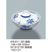 三信化工 【身のみ】三信化工 飯碗 KB-811SEI 1個（直送品）