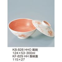 三信化工 【身のみ】三信化工 飯碗 KB-828HHO 1個（直送品）